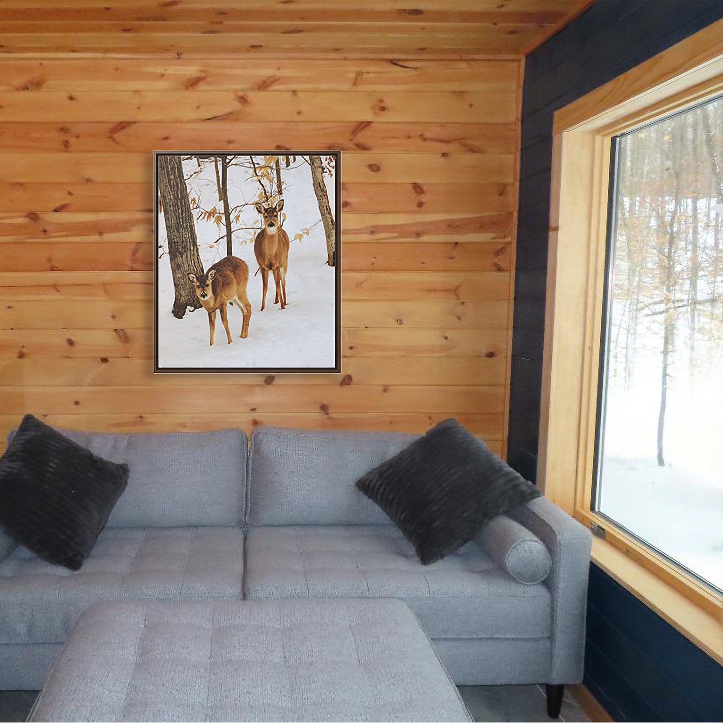 Wildlife Photography, Deer in Northern Michigan Snow, Bellaire Michigan Framed Canvas Photography